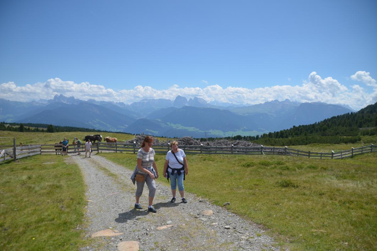 Latschenbrennerei und Platzer Alm 23.07.2020